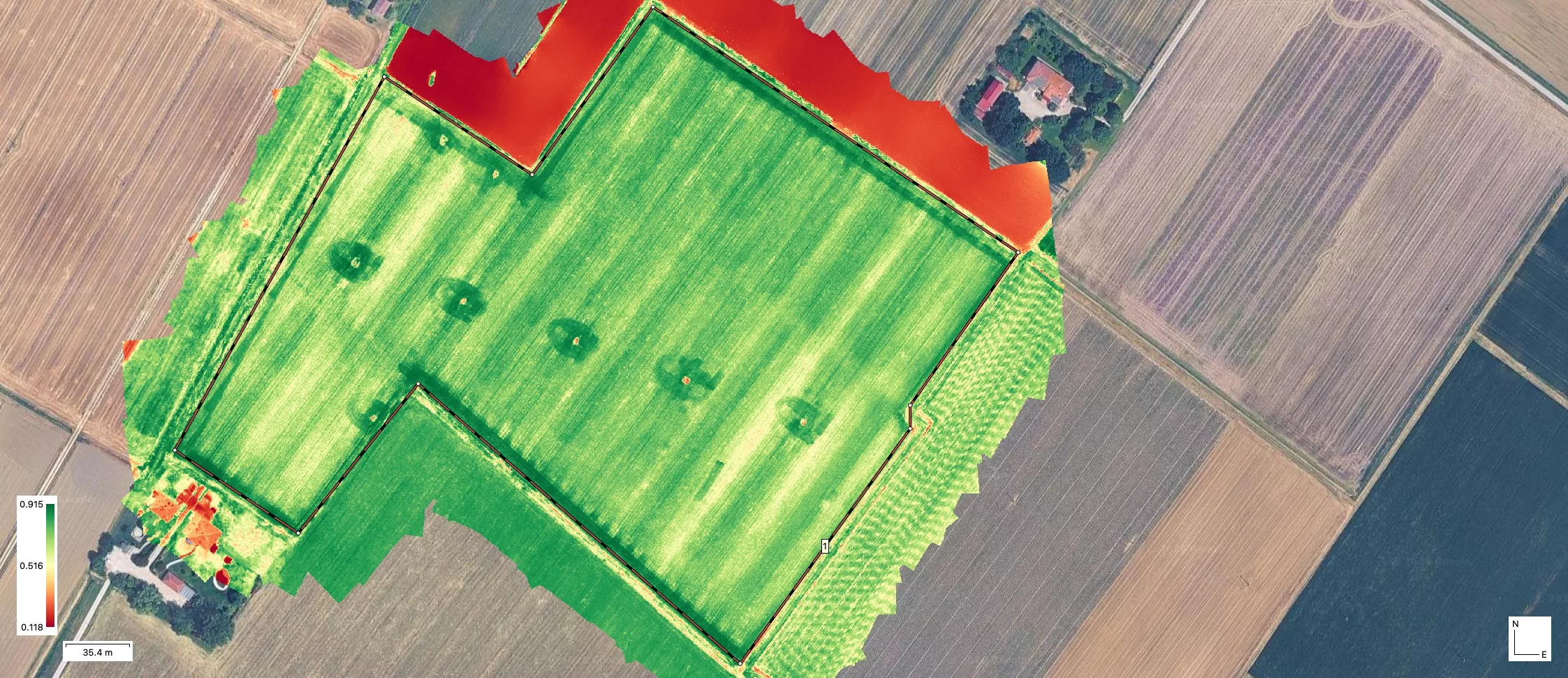 mappa di vigore NDVI