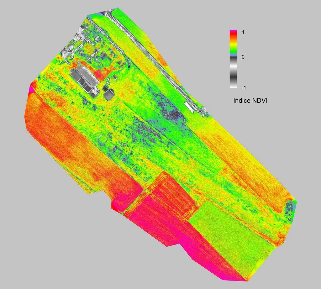 Mappe NDVI: come funzionano gli indici di vigoria e perché sono fondamentali in agricoltura