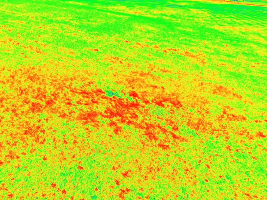 mappa NDVI per agricoltura di precisione